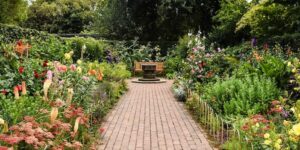 brown brick pathway between green plants during daytime