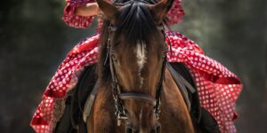 horse, nature, horse head