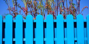 flower box, blue, garden fence, herb, growth