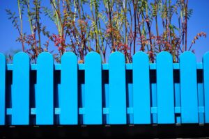 flower box, blue, garden fence, herb, growth